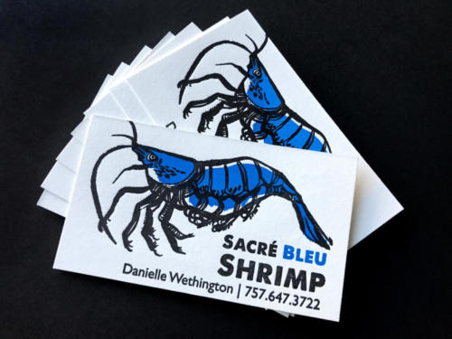 SacreBleuShrimpCards